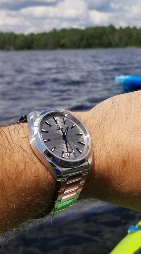 aqua terra omega|omega aqua terra review.